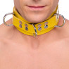 The Red Collier en cuir Ultra Jaune
